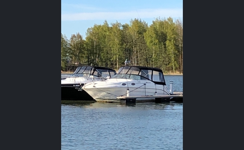 Sea Ray Sundancer 260-kuva-1